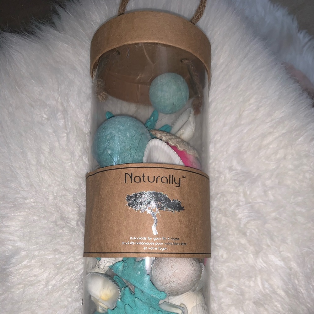 Seashells - Picture 4 of 4